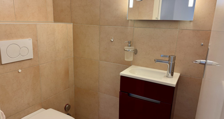 Bel appartement rénové avec grand balcon et vue sur le lac et les Alpes image 6