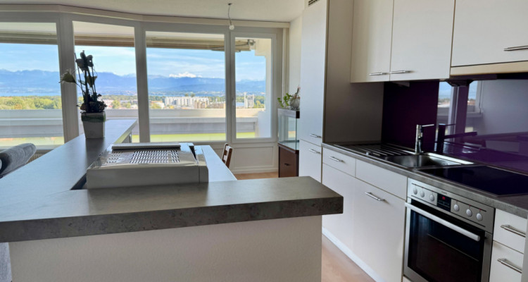 Bel appartement rénové avec grand balcon et vue sur le lac et les Alpes image 2