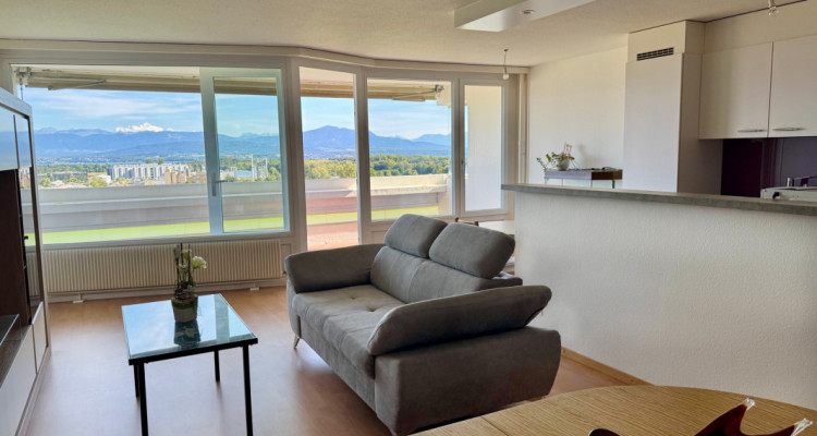 Bel appartement rénové avec grand balcon et vue sur le lac et les Alpes image 3