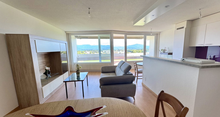 Bel appartement rénové avec grand balcon et vue sur le lac et les Alpes image 4