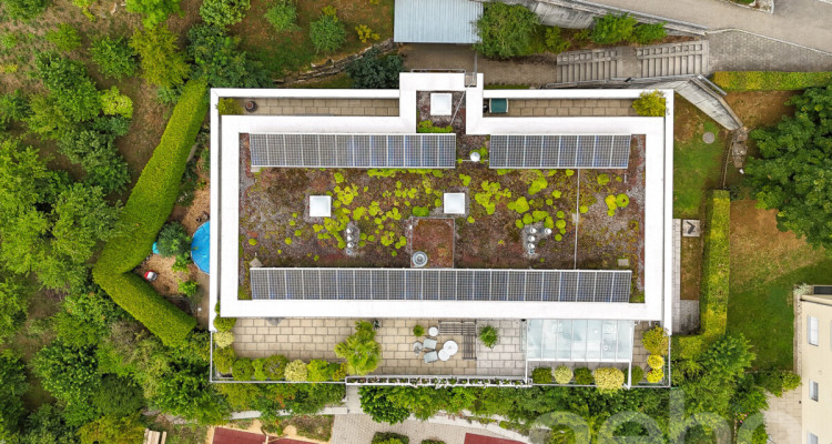 Attraktive 5.5-Zimmer-Attikawohnung mit direktem Liftzugang image 11