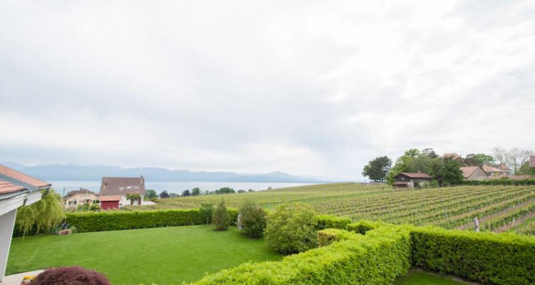 Charmante villa jumelle lumineuse et fonctionnelle image 4