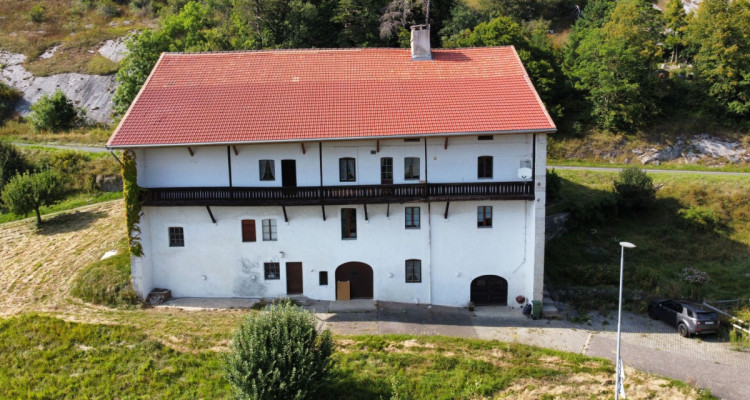 Magnifique projet de rénovation, bâtisse de caractère image 7