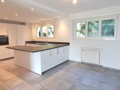 A louer au rez, un 4.5 pièces entièrement rénové  image 1