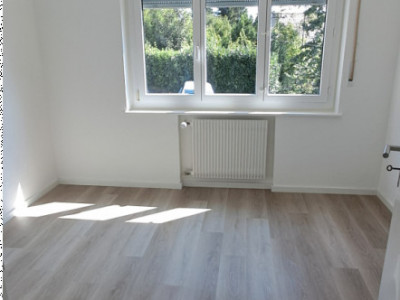 A louer au rez, un 4.5 pièces entièrement rénové  image 4