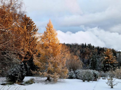 Magnifique maison villageoise de 3 logements image 9