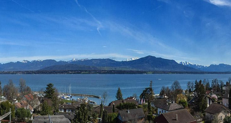 Propriété meublée avec magnifique vue sur le lac, les Alpes et le Mont-Blanc image 2
