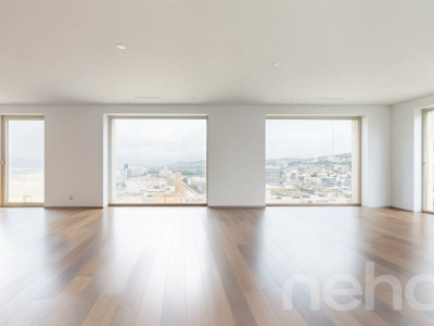 Luxuriöses Penthouse über den Dächern von Zürich image 1