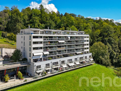 Appartement moderne et lumineux a Belmont-sur-Lausanne image 10