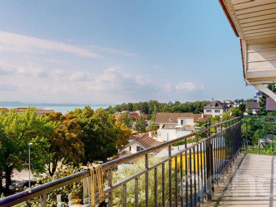 Maison vue lac - grand jardin - à deux pas des commerces image 1