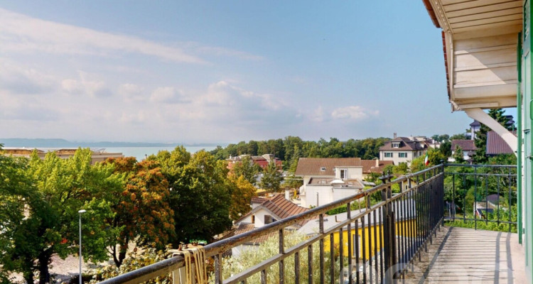 Maison vue lac - grand jardin - à deux pas des commerces image 1