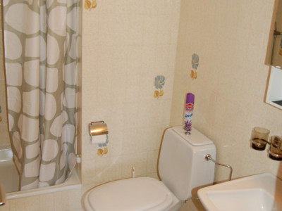 Dès le 01.05.26  Studio Margueron n° 264 au centre de Vercorin image 5