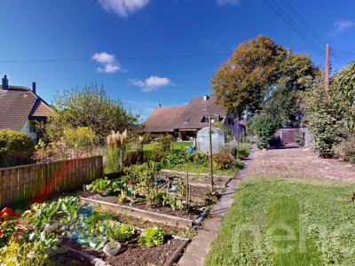 Charmantes 4-Zimmer-Haus mit grossem separatem Garten image 10