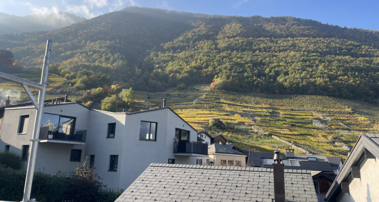 Attique neuf à saisir - immeuble en construction image 8