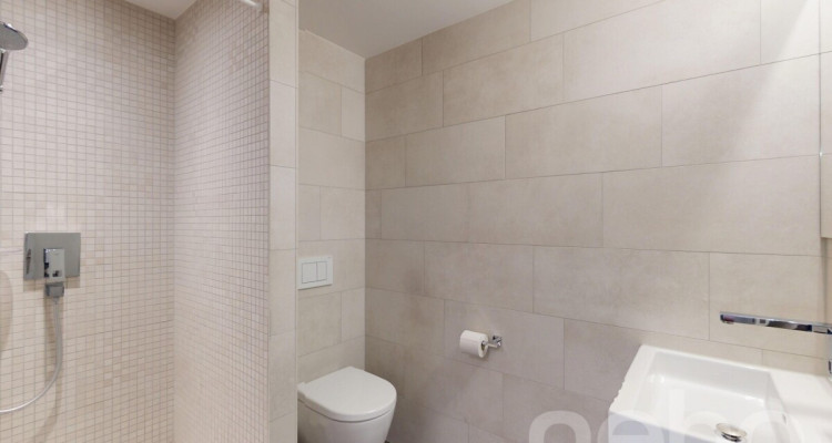 Attraktive 2.5-Zimmer-Loft-Wohnung image 10