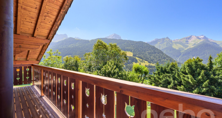 « La Bonne Étoile » ? Chalet incluant 3 parcelles constructibles image 1