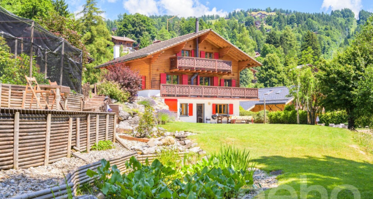 « La Bonne Étoile » ? Chalet incluant 3 parcelles constructibles image 2