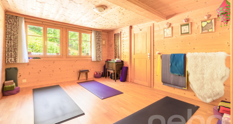 « La Bonne Étoile » ? Chalet incluant 3 parcelles constructibles image 9