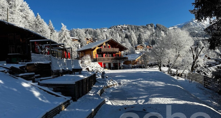 « La Bonne Étoile » ? Chalet incluant 3 parcelles constructibles image 11