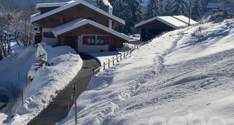 « La Bonne Étoile » ? Chalet incluant 3 parcelles constructibles image 4