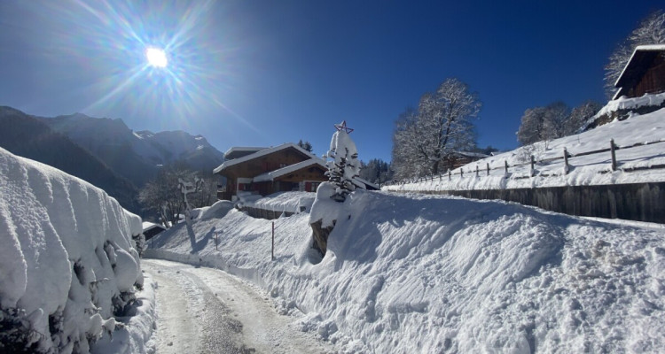 « La Bonne Étoile » ? Chalet incluant 3 parcelles constructibles image 10