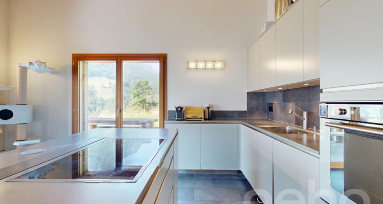 Grand chalet à 10 min de Vouvry, en pleine nature image 3