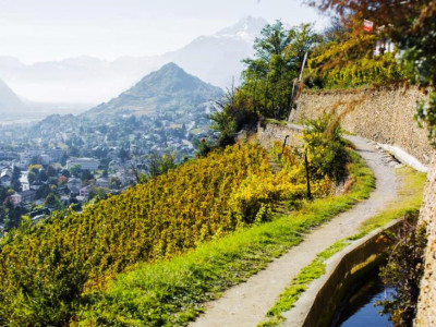 MAISON VILLAGEOISE ÉCOLOGIQUE AVEC JARDIN, EN COURS DE CONSTRUCTION image 4