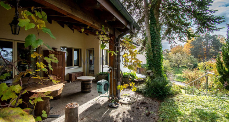 Ihr Monster-Anwesen mit traumhafter Aussicht image 3