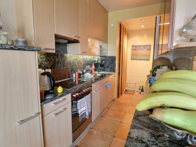 Incroyable Attique traversant en viager occupé sans rente image 3