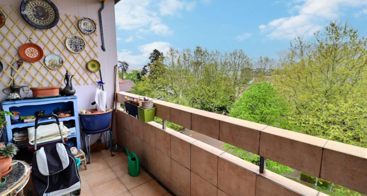 Incroyable Attique traversant en viager occupé sans rente image 1