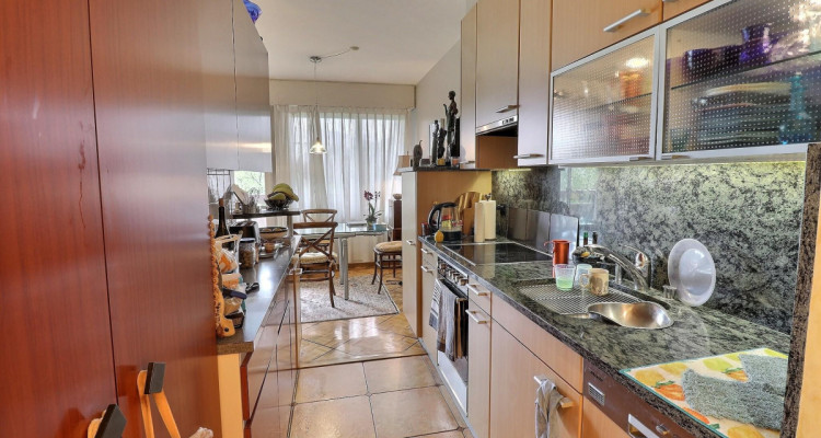 Incroyable Attique traversant en viager occupé sans rente image 2