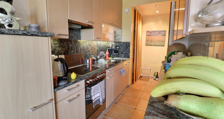 Incroyable Attique traversant en viager occupé sans rente image 3