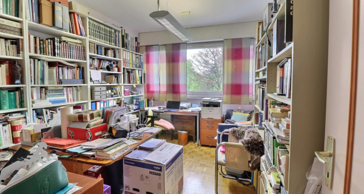 Incroyable Attique traversant en viager occupé sans rente image 8