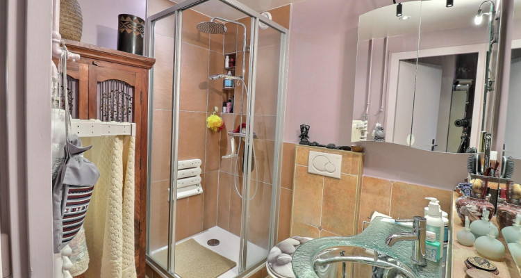 Incroyable Attique traversant en viager occupé sans rente image 10