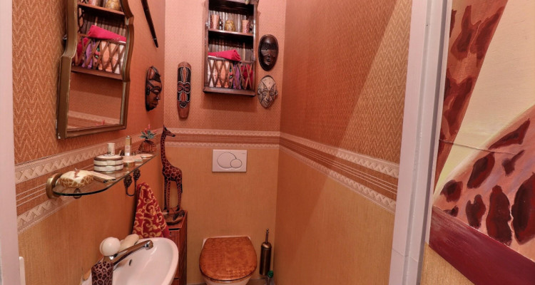 Incroyable Attique traversant en viager occupé sans rente image 11