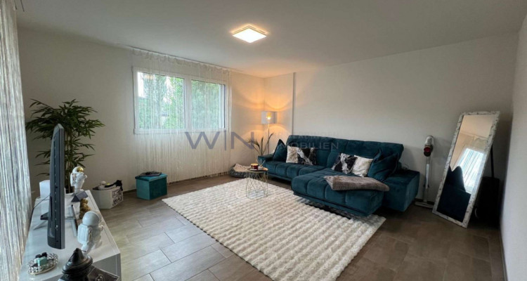 Allrounder - NEU image 3