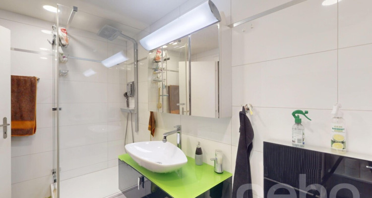 Sonnige 4.5-Zimmer Wohnung inklusive Parkplatz image 11