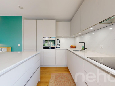 Rolle ? Élégant 4,5 pièces avec terrasse et jardin, proche du Lac image 4