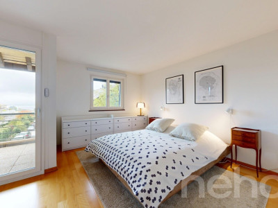 Au centre du village, vue lac image 8