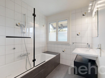 Au centre du village, vue lac image 10