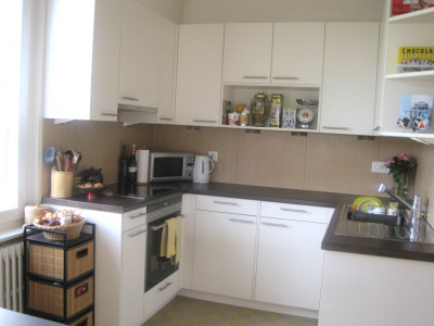 Très belle maison locative des années 30 , 3 appts, 582 m2 terrain image 9