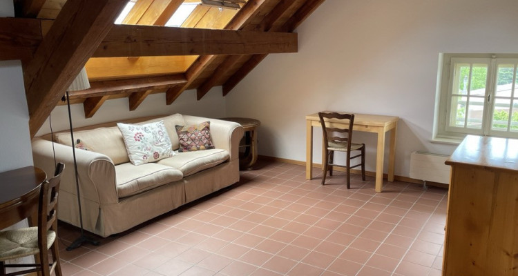 Très belle maison locative des années 30 , 3 appts, 582 m2 terrain image 3