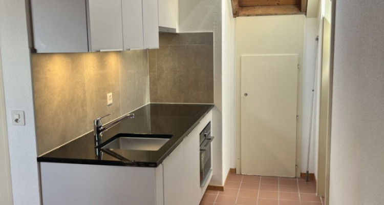 Très belle maison locative des années 30 , 3 appts, 582 m2 terrain image 4