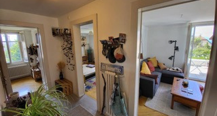 Très belle maison locative des années 30 , 3 appts, 582 m2 terrain image 8