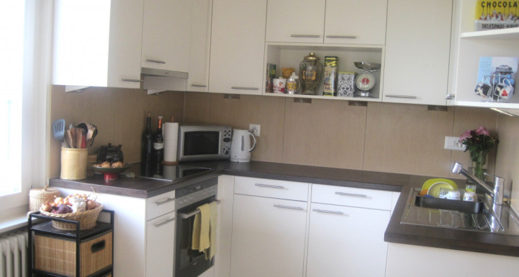 Très belle maison locative des années 30 , 3 appts, 582 m2 terrain image 9