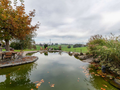 Genuss vom Mehrgenerationenhaus image 13