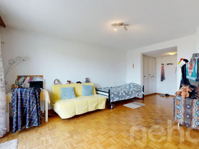 Lumineux 41 m² à Vernier, parfait équilibre entre calme et ville image 3