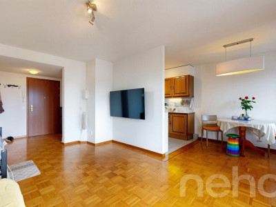 Lumineux 41 m² à Vernier, parfait équilibre entre calme et ville image 5