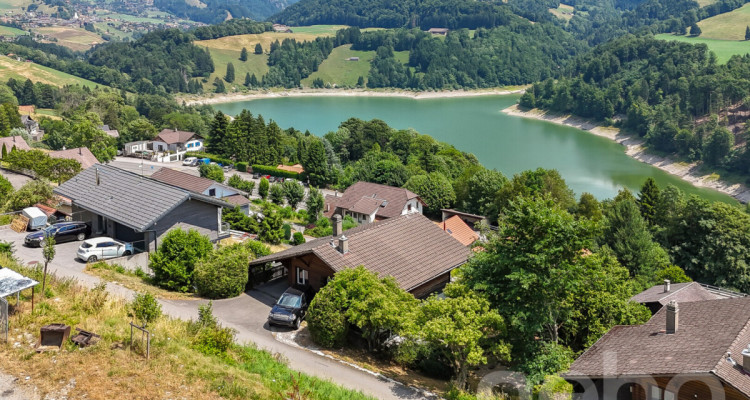 Vue panoramique et charme authentique: Un chalet à réinventer image 1