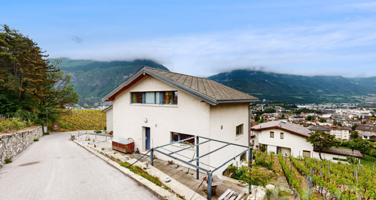 Maison familiale spacieuse avec logement indépendant image 3